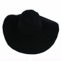 Unformed Wool Felt Wide Brim Hat - Traclet
