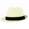 Paper Straw Trilby Hat - Traclet
