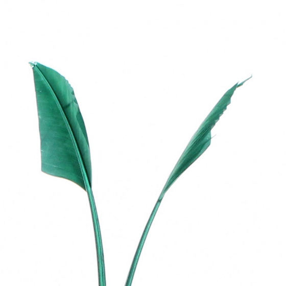 Chapeau Bibi- Serre-tête Zita Feutre Vert - Traclet