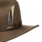 Brown Wool Vitafelt Western Hat - Stetson