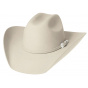Silvertone Beige Western - Country Hat