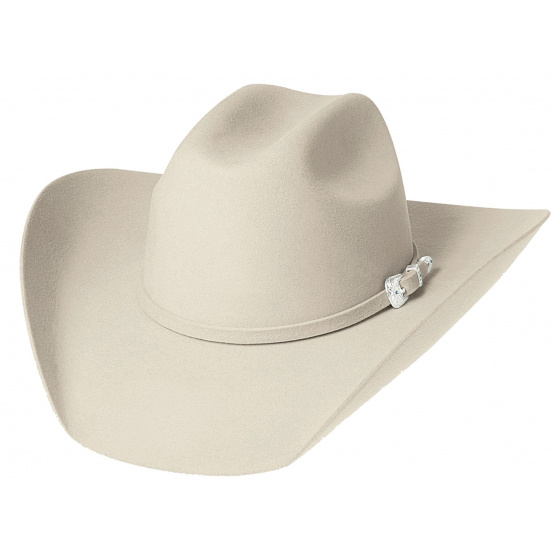 Silvertone Beige Western - Country Hat Silvertone Beige Western - Country Hat