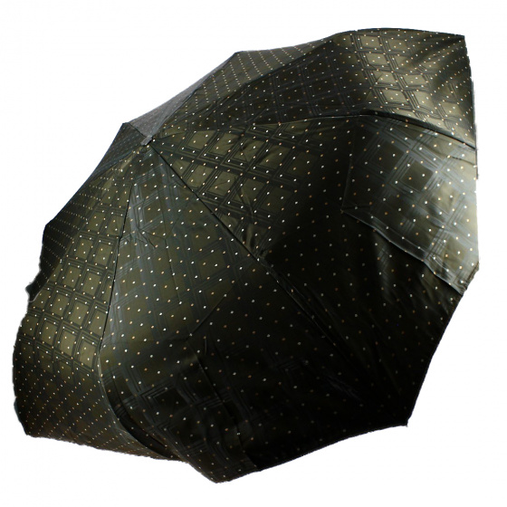 Mini-Parapluie Pliant Homme automatique poignée bois droite - Piganiol