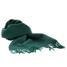 Green wool scarf - Traclet Reference: 19199 | Traclet Hat Shop