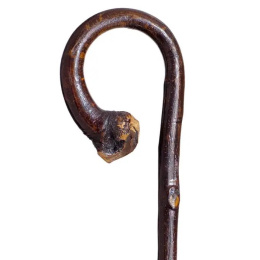 Curved Brown Chestnut Walking Cane - Traclet