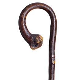 Curved Chestnut Wood Hiking Stick Brown - Traclet