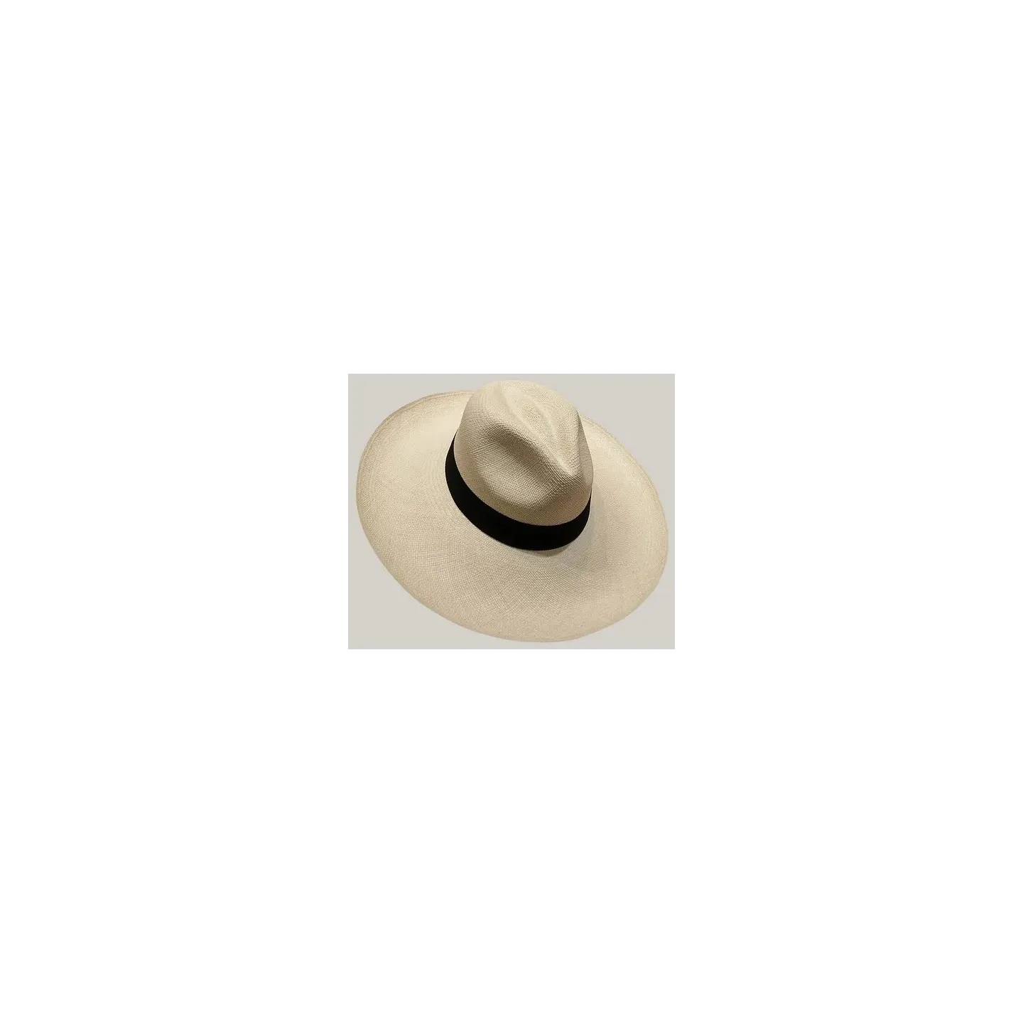 Chapeau Fedora Robbins Panama Larges Bords - Traclet  Reference : 20320| Chapellerie Traclet