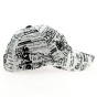 Ethan newspaper cap
