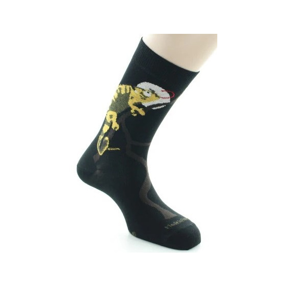 Chameleon Cotton Black Socks Made in France - Dagobert