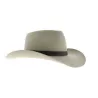 chapeau feutre poil murchison river Statesman ref 21204