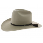 Western hat Serpentine - Statesman hats