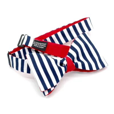 Teal Linen Bow Tie - Le Coq En Pap Reference: 17707| Chapellerie Traclet
