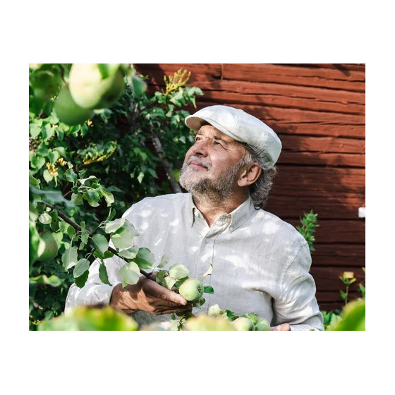 Alin Linen Hatteras Cap in Sand - Traclet