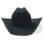 copy of Cowboy Cattleman buffalo hat 4X Stetson