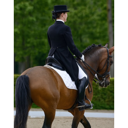 Chapeau Dressage Feutre Poil 10 cm Noir - Guerra 1855