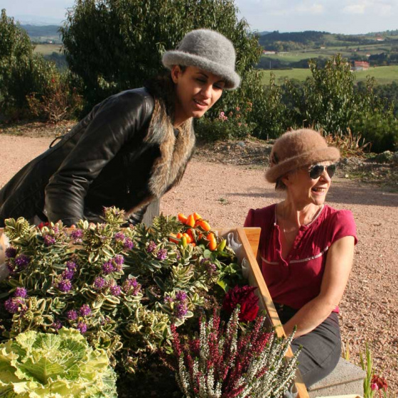 Angora hat Angora hat