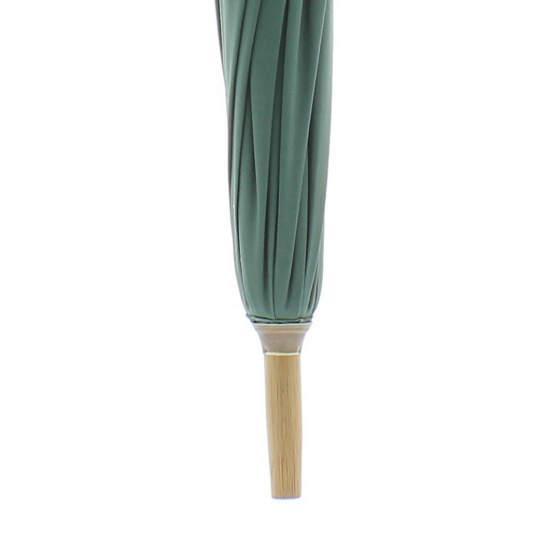 Green Shepherd's Umbrella