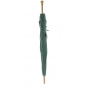 Green Shepherd's Umbrella
