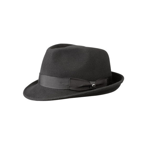 Chapeau Elkader Noir Trilby Stetson