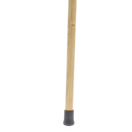 Dr. House's Cane