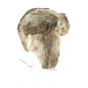 Rabbit Ushanka Hat Brown - Traclet
