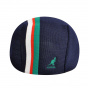 Stripe 507 marine transmission