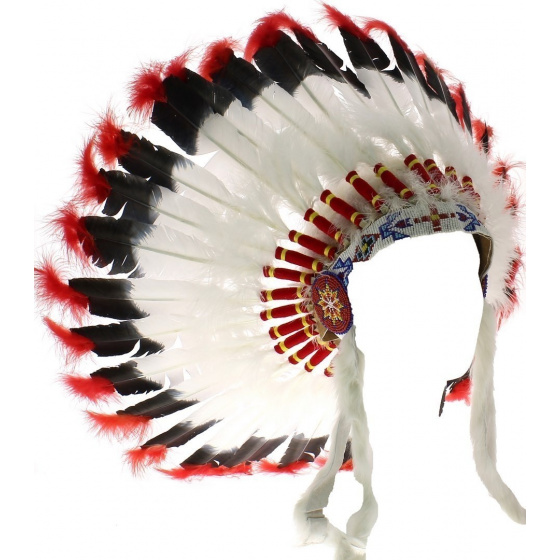 Native American headdress Native American headdress