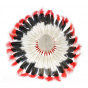 Native American headdress