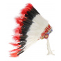 Native American headdress