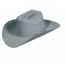 Chapeau stetson PRESIDENT poil de castor