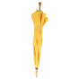 Yellow Shepherd's Umbrella
