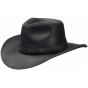 Cowboy hat - Cuir Paiute Stetson