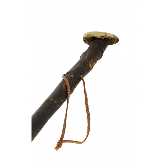 Bâton De Marche Bâton De Marche