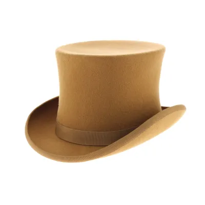 Chapeau haut de forme - lion - achat haut de forme Reference : 5747 | Chapellerie Traclet