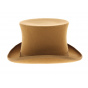 Lion Wool Felt Top Hat - Traclet