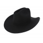Phoenix Wool Felt Hat - Bullhide