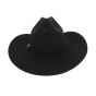 Phoenix Wool Felt Hat - Bullhide