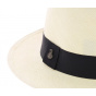 Foldable Panama Fedora Hat - Traclet