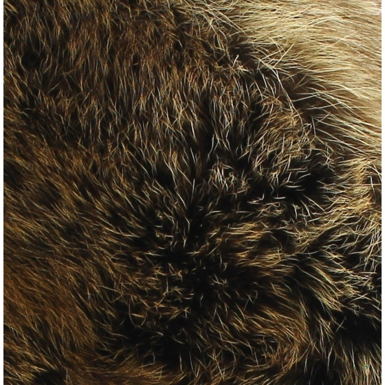 Tennessee Trapper Hat Raccoon - Gena