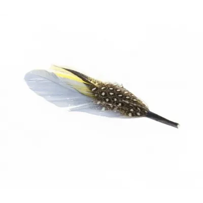 Yellow hat feather - feather Reference: 2161 | Traclet Hat Shop