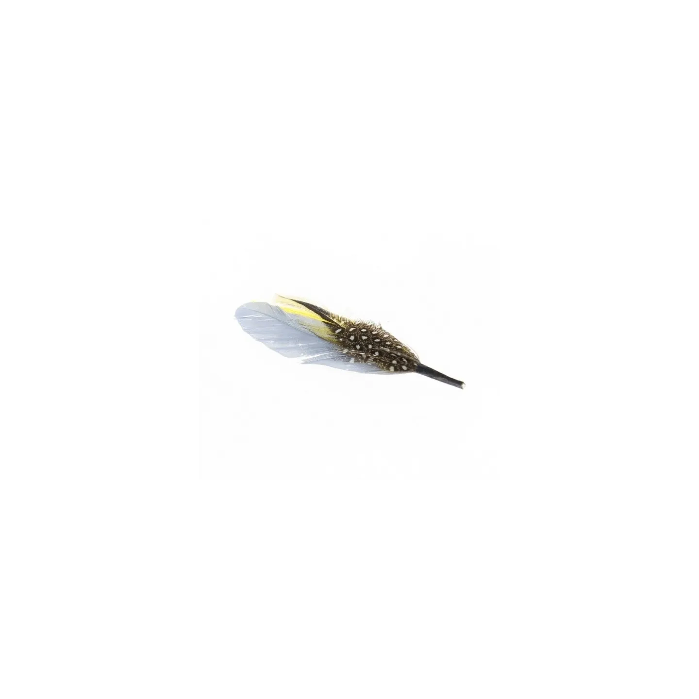 Yellow hat feather - feather Reference: 2161 | Traclet Hat Shop