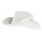 Hat of the Camargue - Pampa