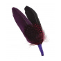 Hat trim - Plume Violet-noir 
