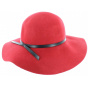 Red Euterpe felt wide-brimmed hat