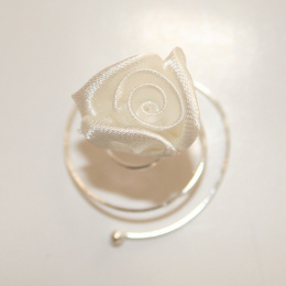 Snail flower lot