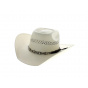 hat Silver City
