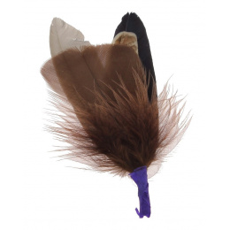 Brown Hat Feather Trim