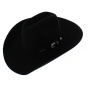 Stetson Cattleman Revolver Cowboy Hat