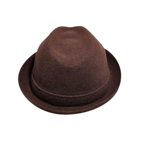 kangol wool player hat