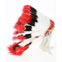Native American headdress